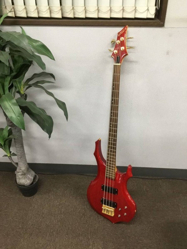 ESP 画像1