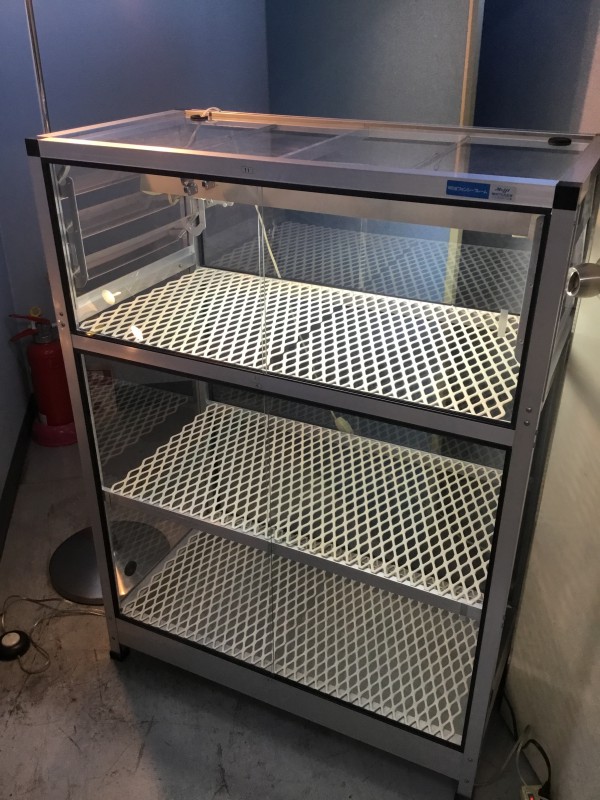 ガラスケース 温室 ガラス温室 ショーケース コレクション 園芸 栽培 画像1